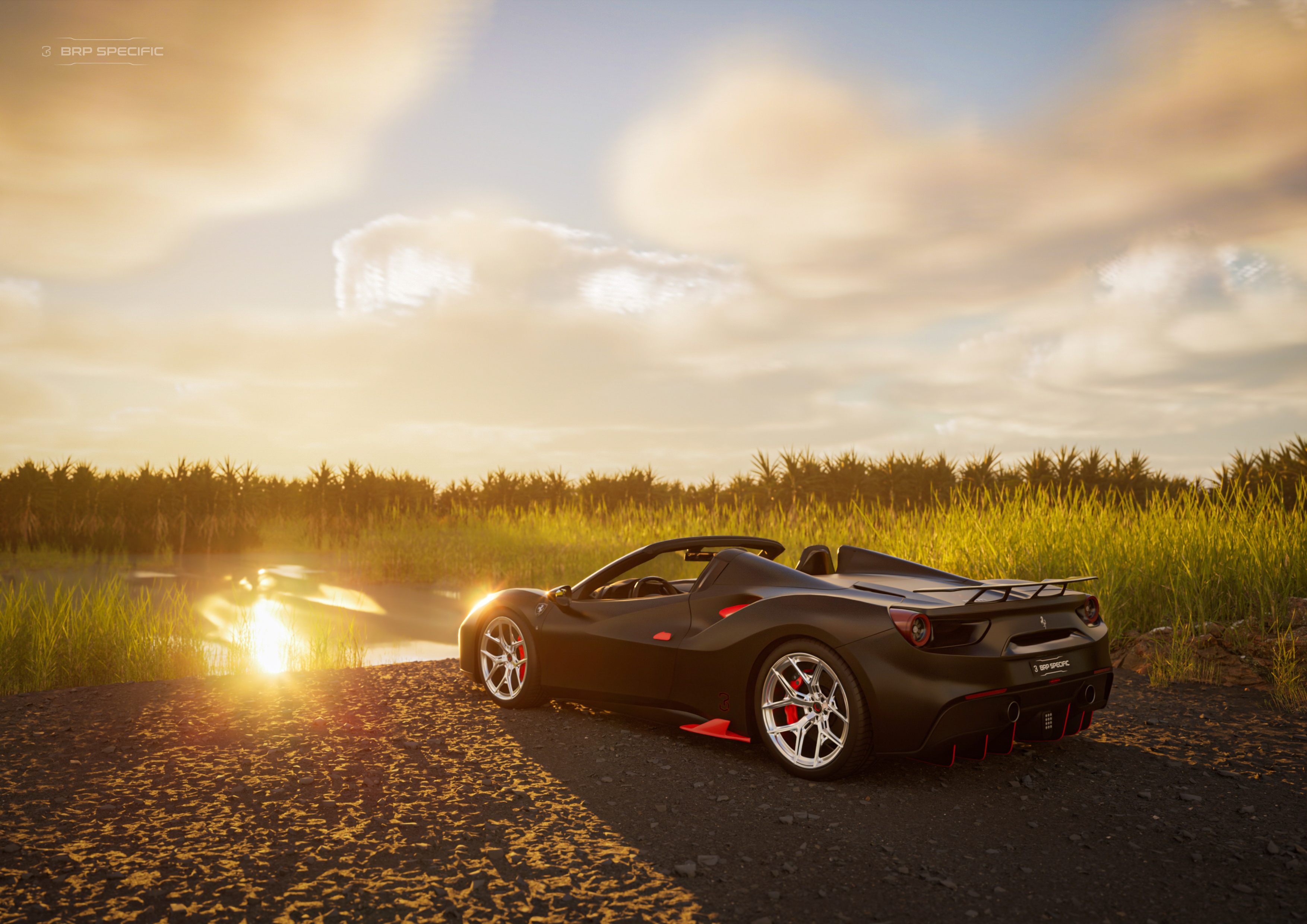 488 Spider, wetland dusk