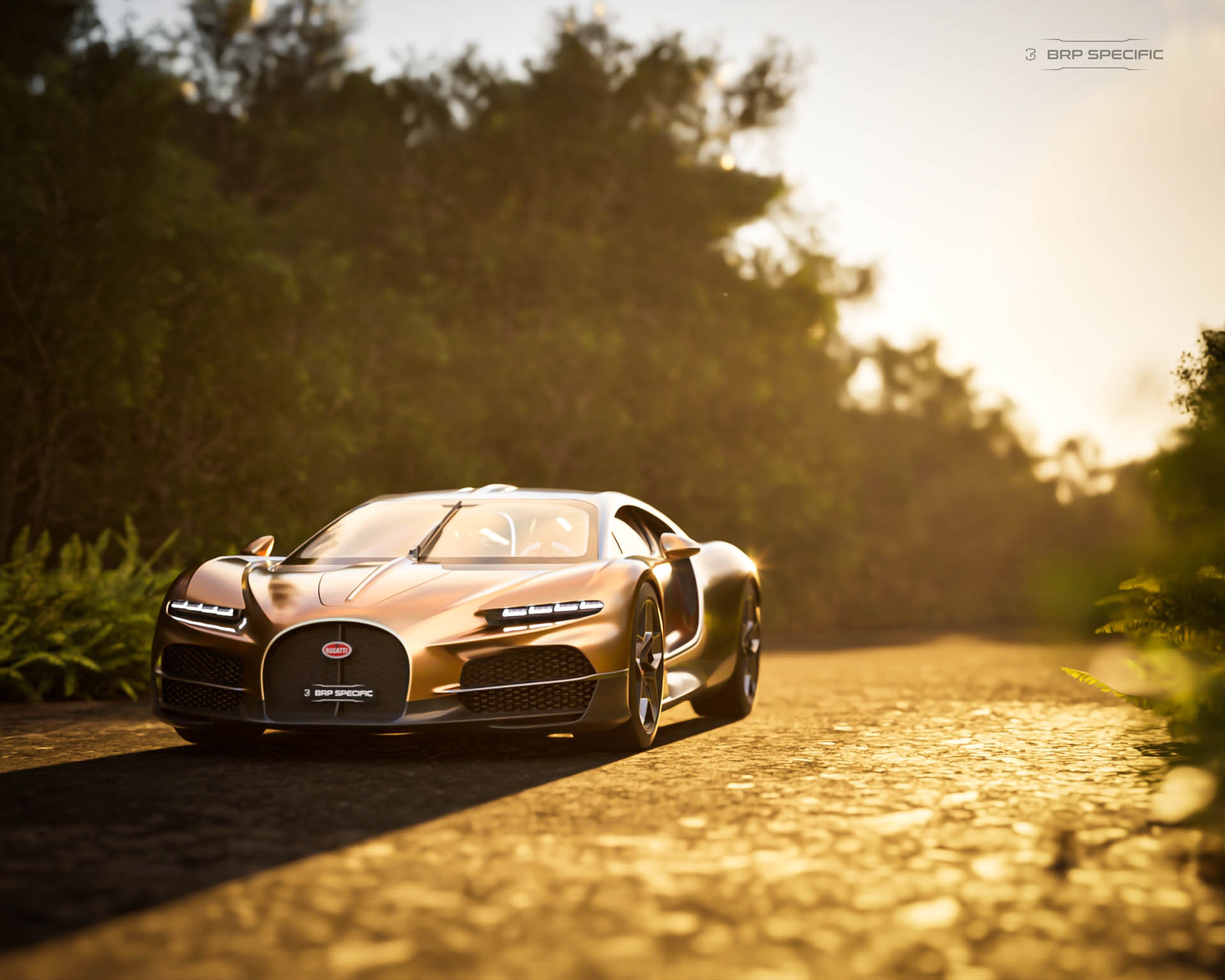 Tourbillon, forest golden hour